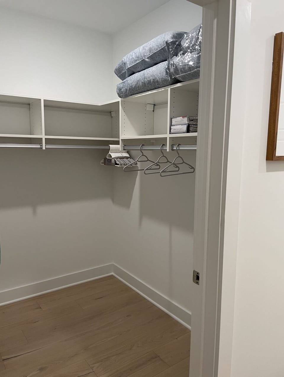 Master walk-in closet