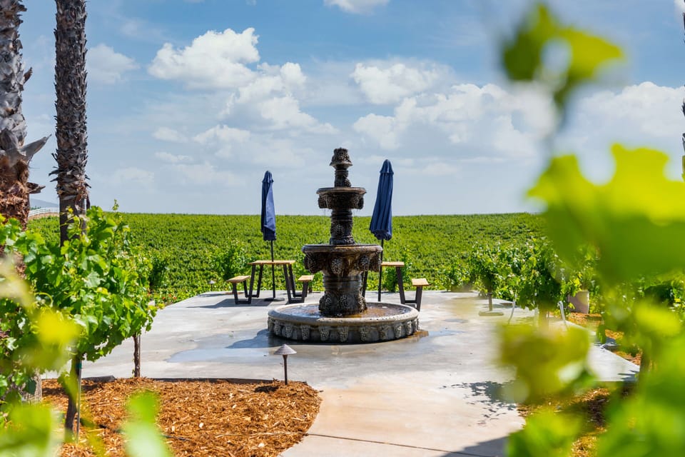 Beautiful fountain surrounded by our stunning vineyard