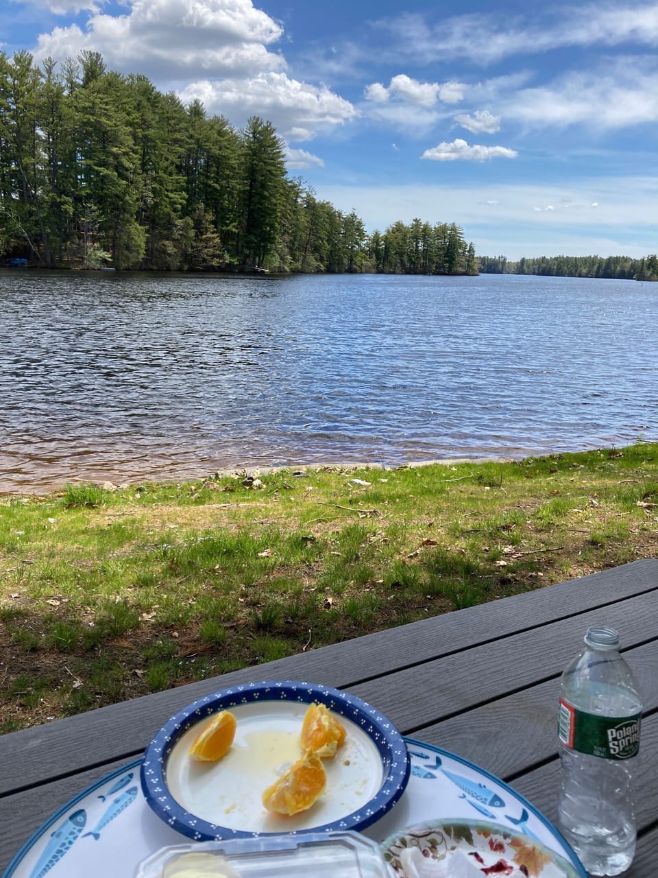 Sitting on 200 ft of waterfront looking at lake.