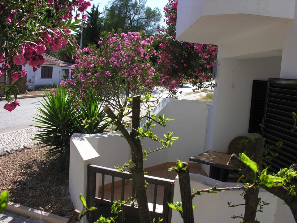 Garden,Balcony/Terrace