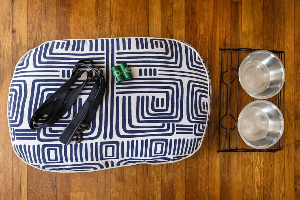 Bring your furry friends along!