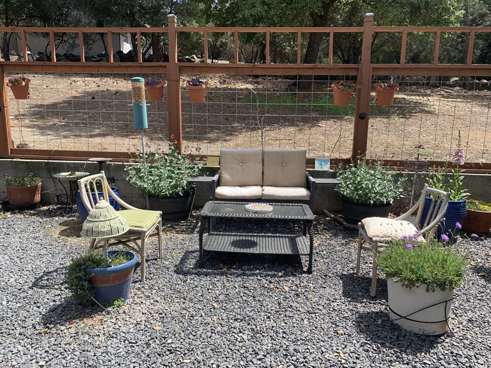 Reconnect with nature while watching the birds bathe and listen to their songs. 