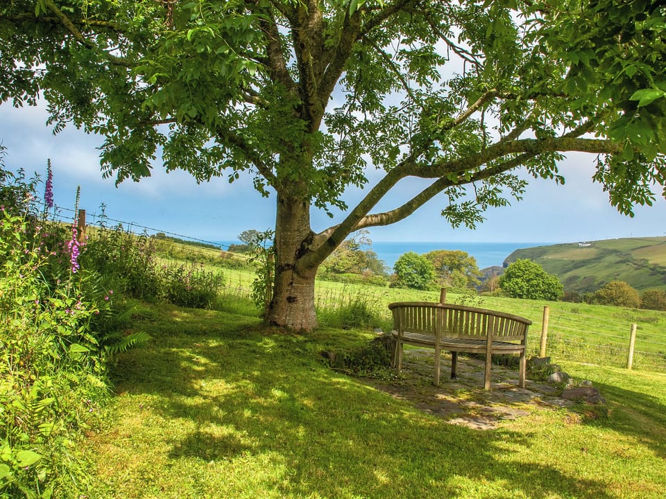 Outdoor area | Crug y Felin, Ceibwr Cove
