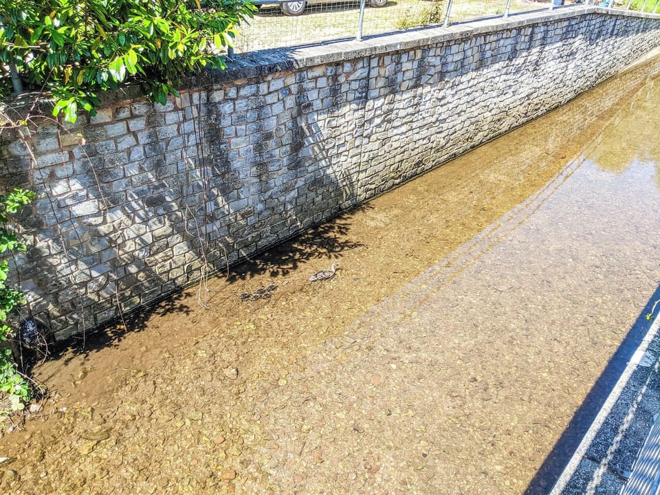 Outdoor area | Teal Cottage, Honiton