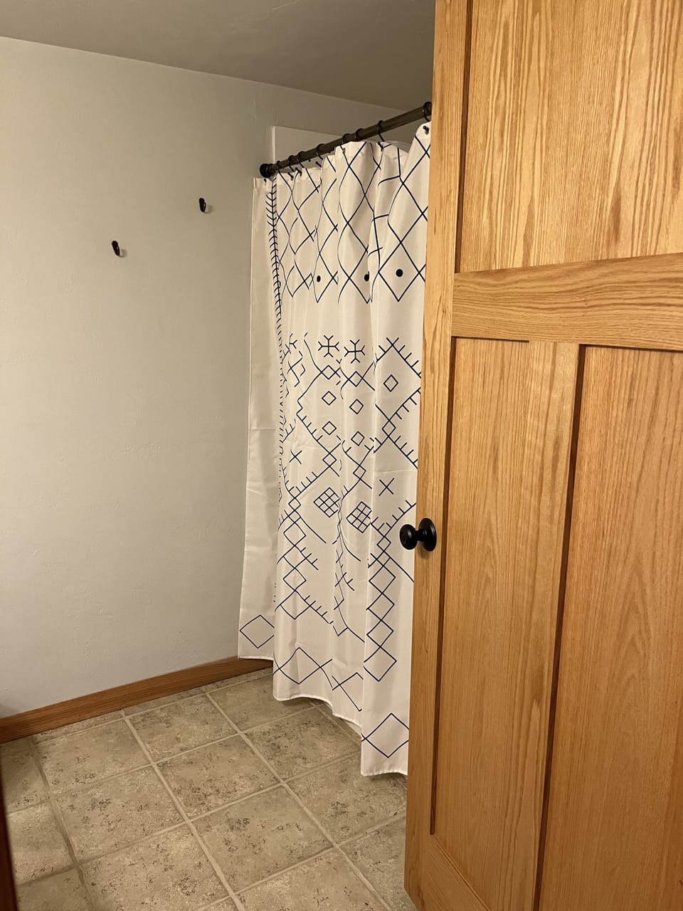 Lower level bathroom.