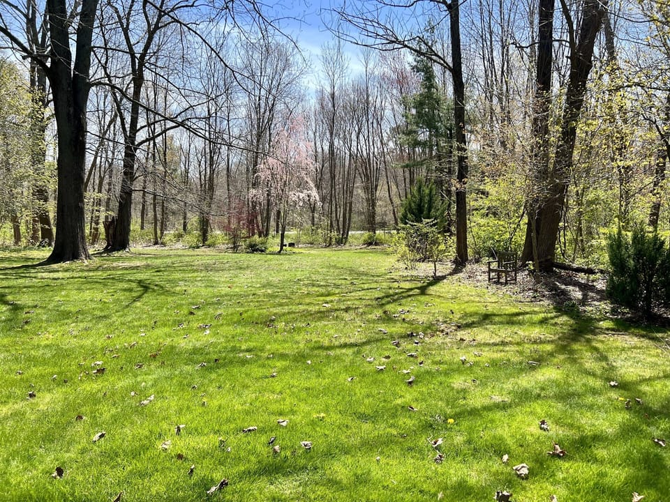 Large back yard for little ones & pets to play!