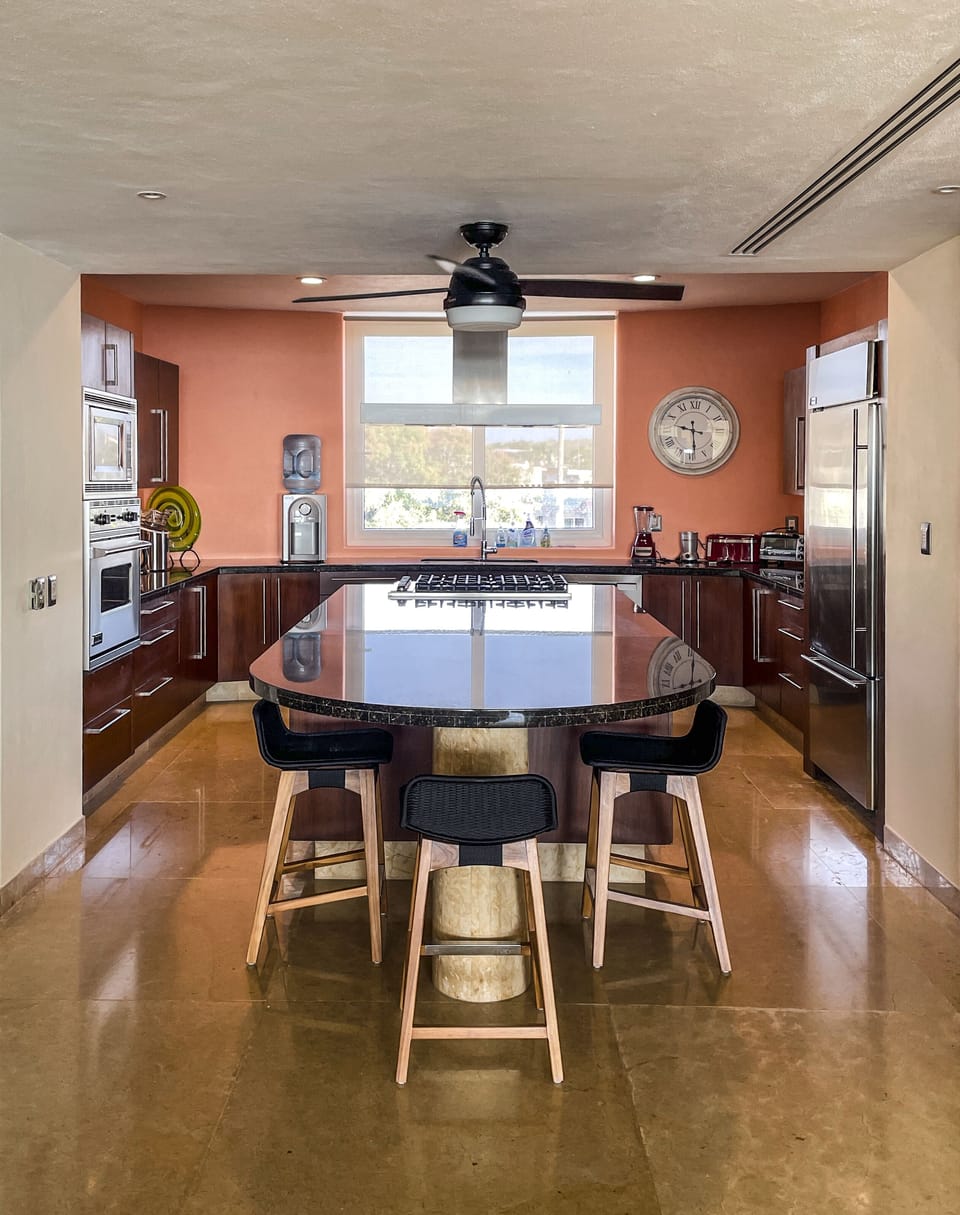 Gourmet kitchen