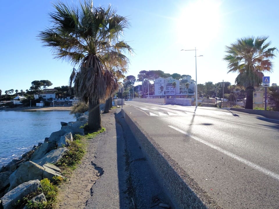 Sky, Water, Plant, Street Light, Tree, Asphalt, Road Surface, Sunlight, Arecales, Woody Plant