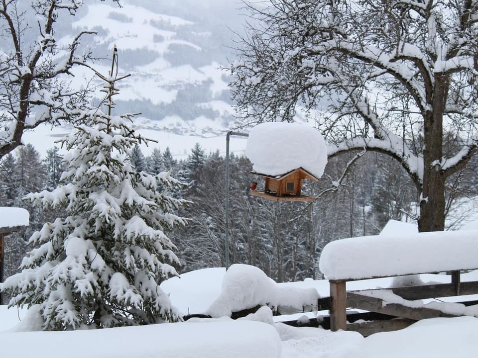 Stoizimma - Roanahof Farm Stay in Schladming