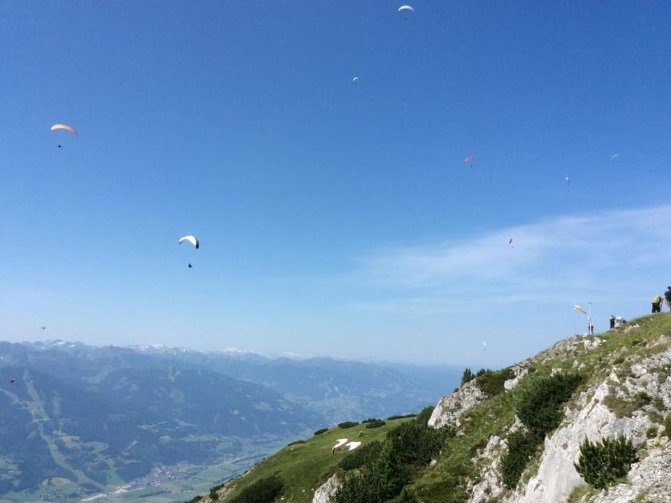 Miscellaneous