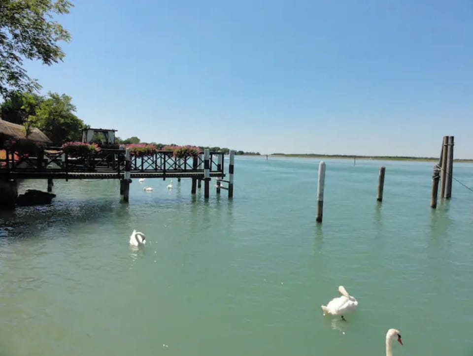 Lake