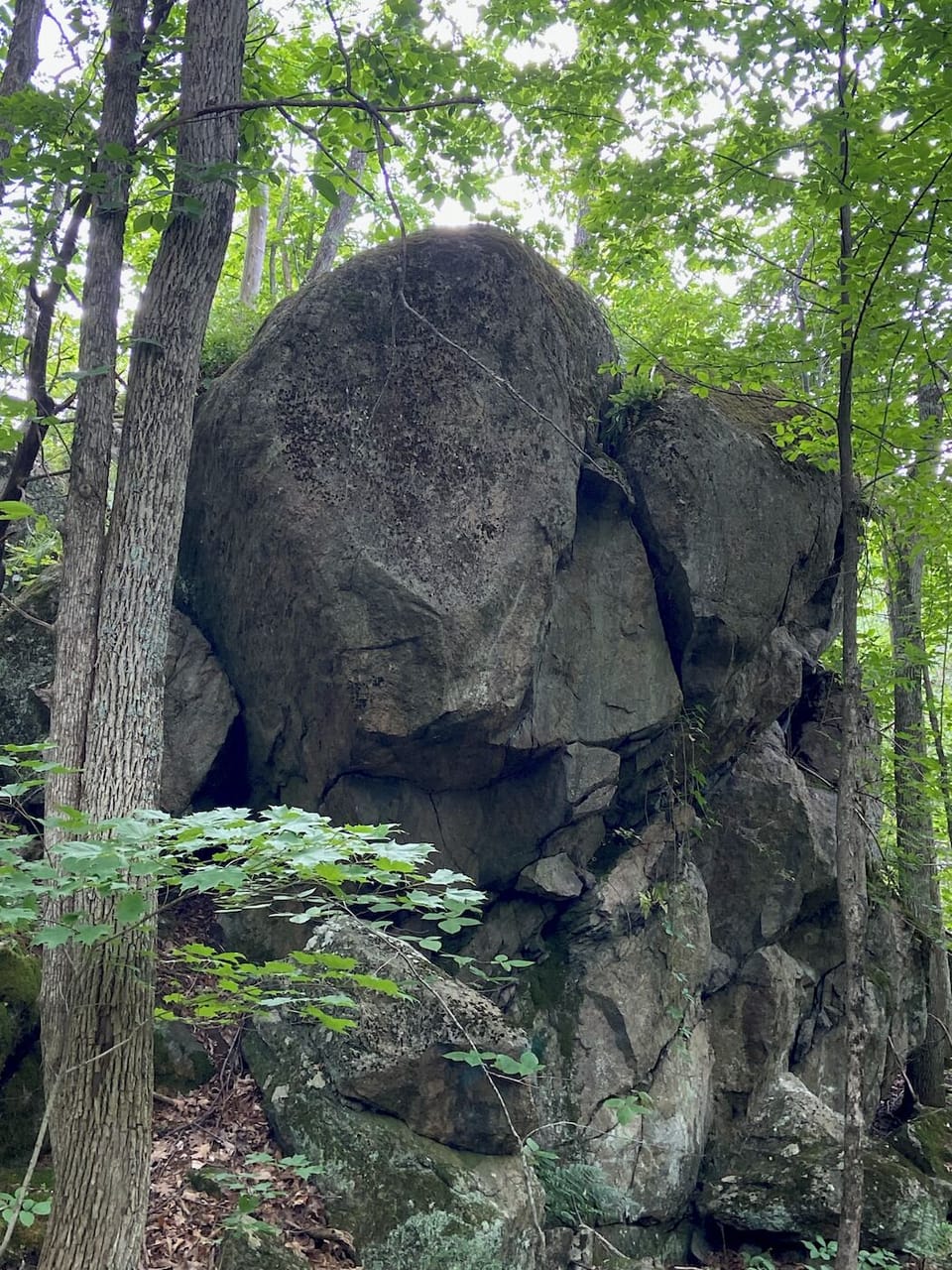 The famous Elephant Rock