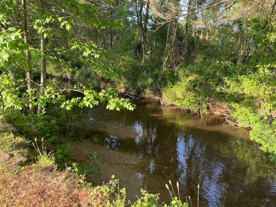 Stream behind the home. 