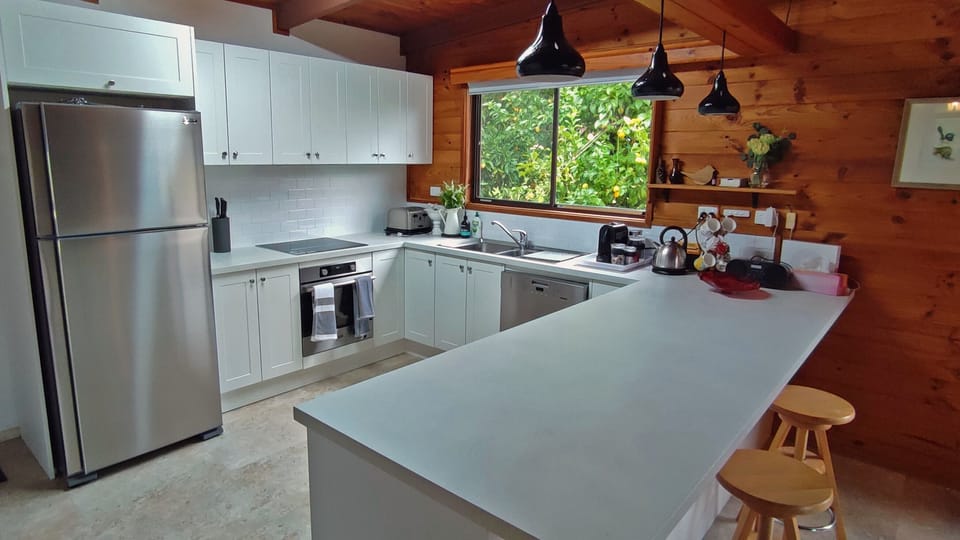 Kitchen - large fridge/freezer, induction cooktop, Asko oven