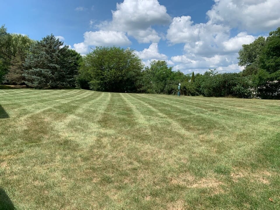 Beautifully manicured grounds! 