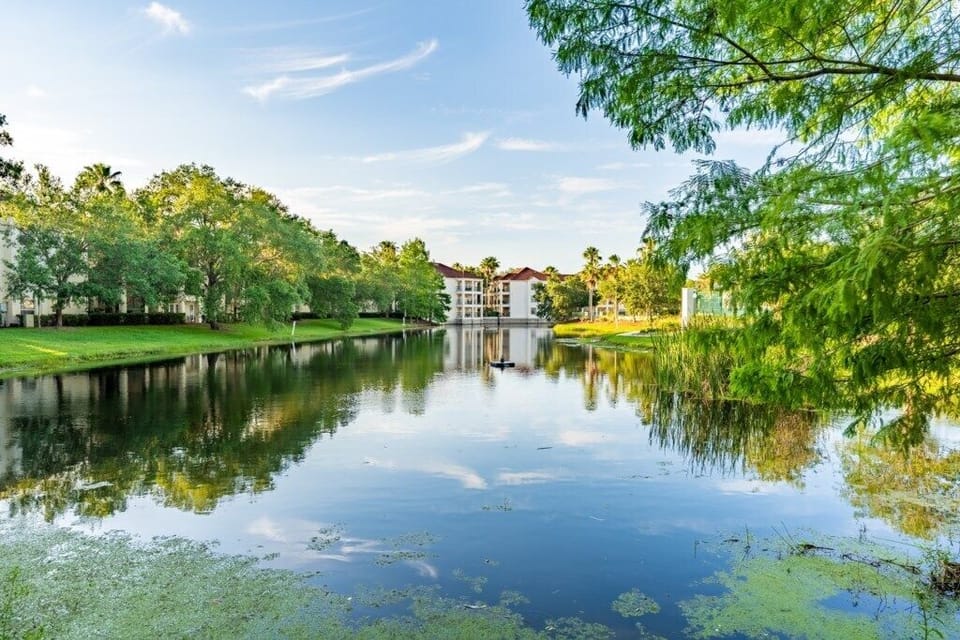 Wyndham Star Island_5b.jpg