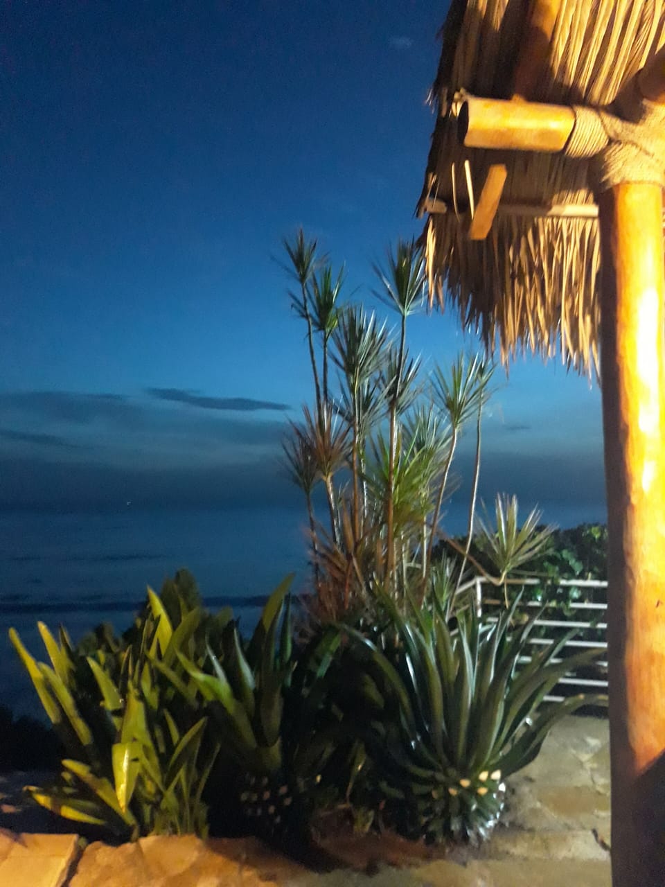 Views from the Tiki area