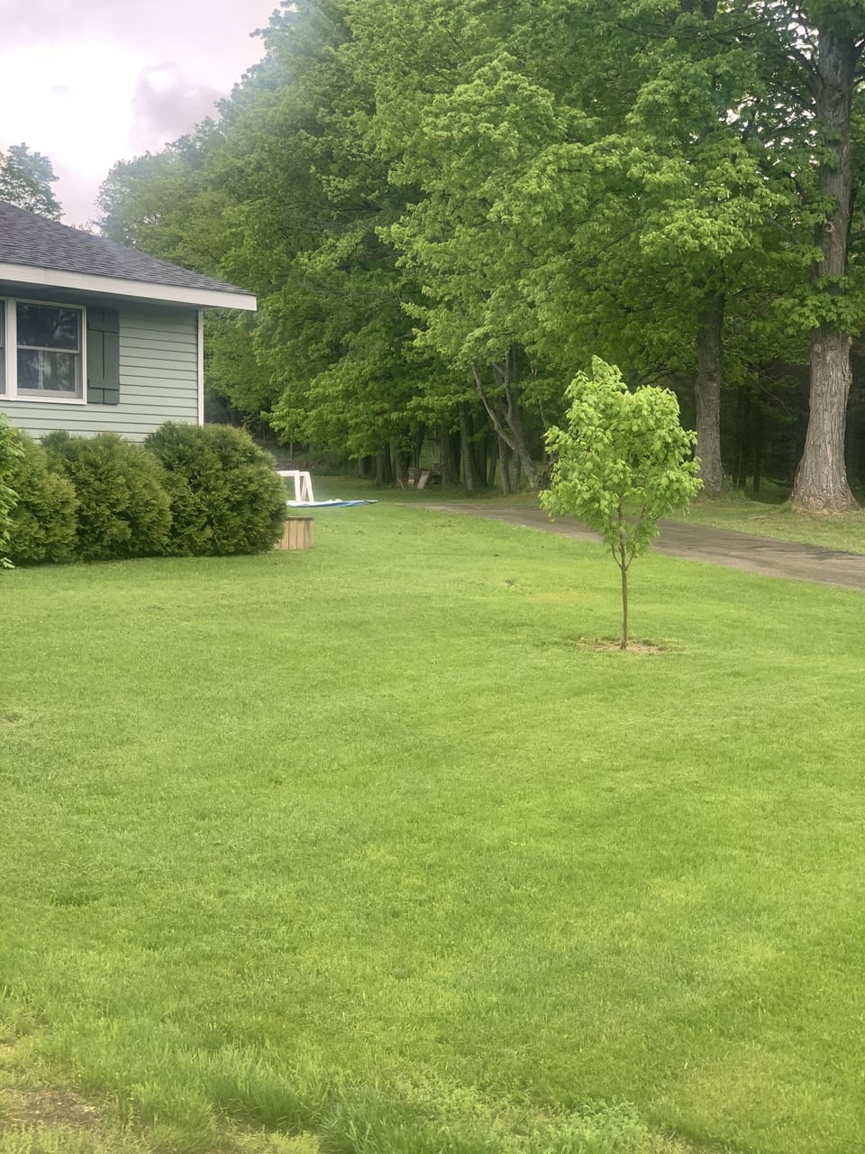 Front yard view.