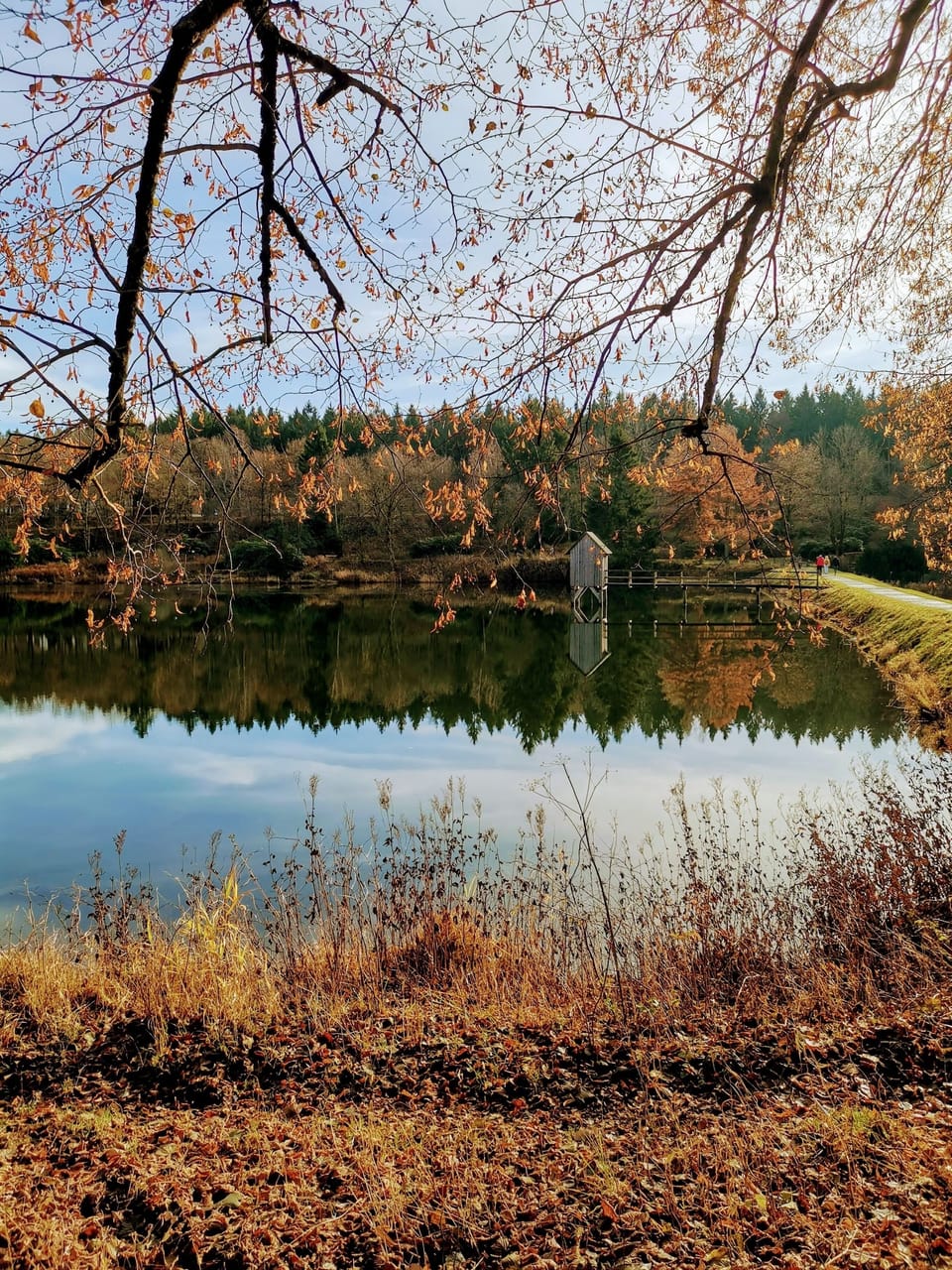 Lake