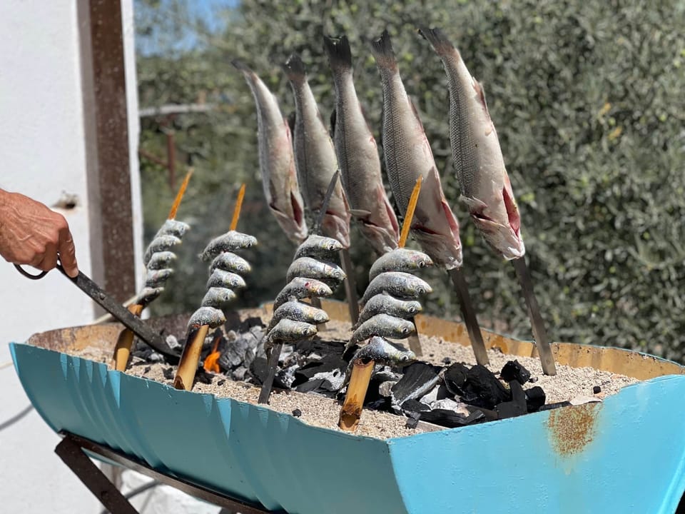 Fish-on-a-stick Barbeque (2)