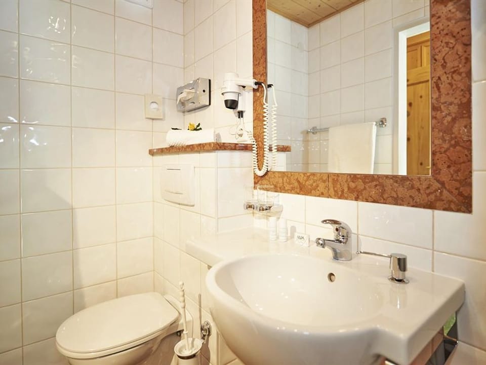 Single Room TYPE B - Half Board - 3* S Hotel Martin Apartment in Schladming