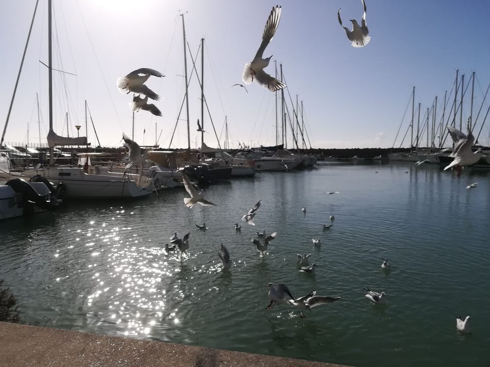 Marina