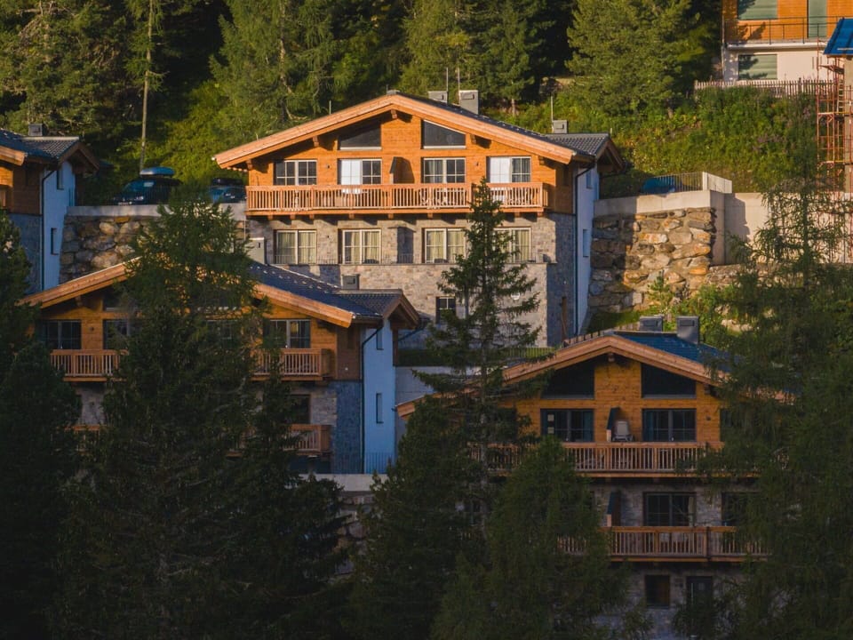 Window, Building, Tree, Plant, House, Sunlight, Larch, Dusk, Roof, Wood