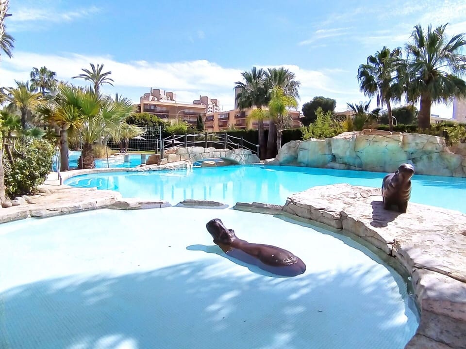 Water, Sky, Cloud, Tree, Azure, Plant, Swimming Pool, Leisure, Aqua, Real Estate