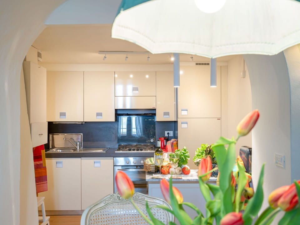Cabinetry, Countertop, Property, Plant, Kitchen Appliance, Houseplant, Kitchen Stove, Umbrella, Building, Kitchen