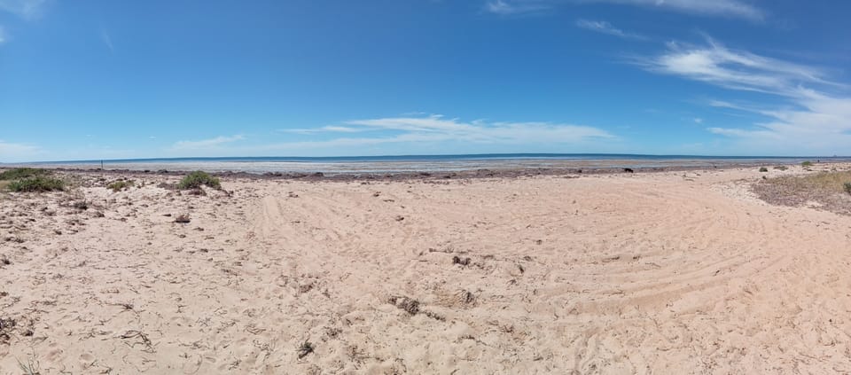 Tiddy Widdy Beach (low tide)