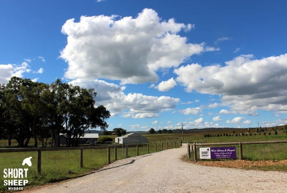 Entrance to SHORT SHEEP