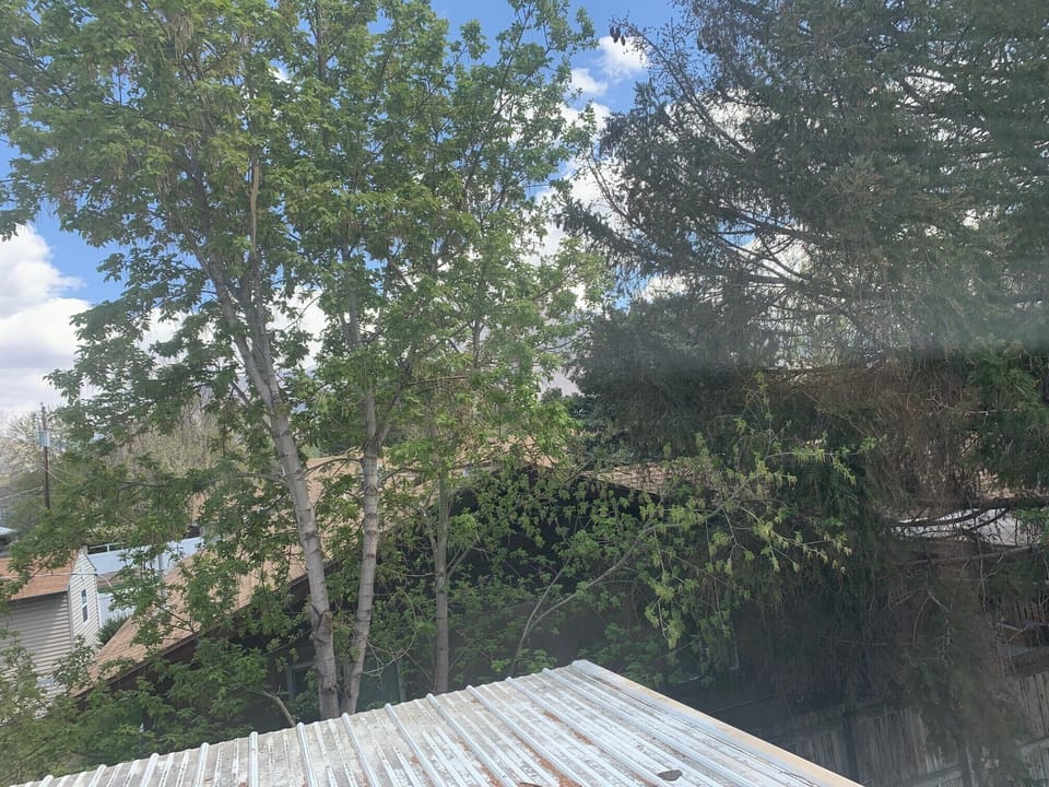 View from property