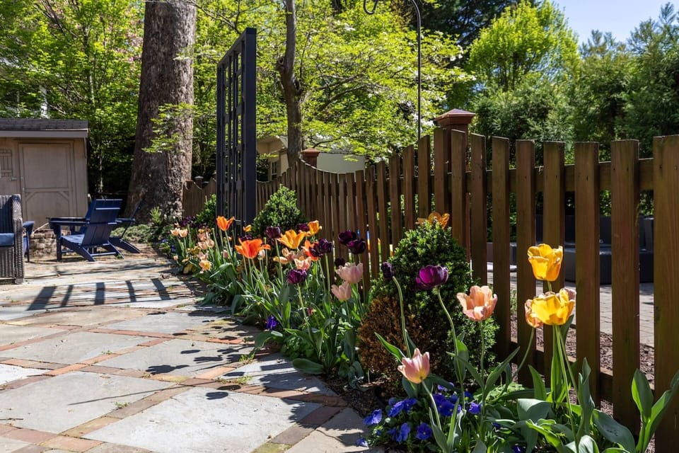The backyard is maintained by a professional landscaping company.