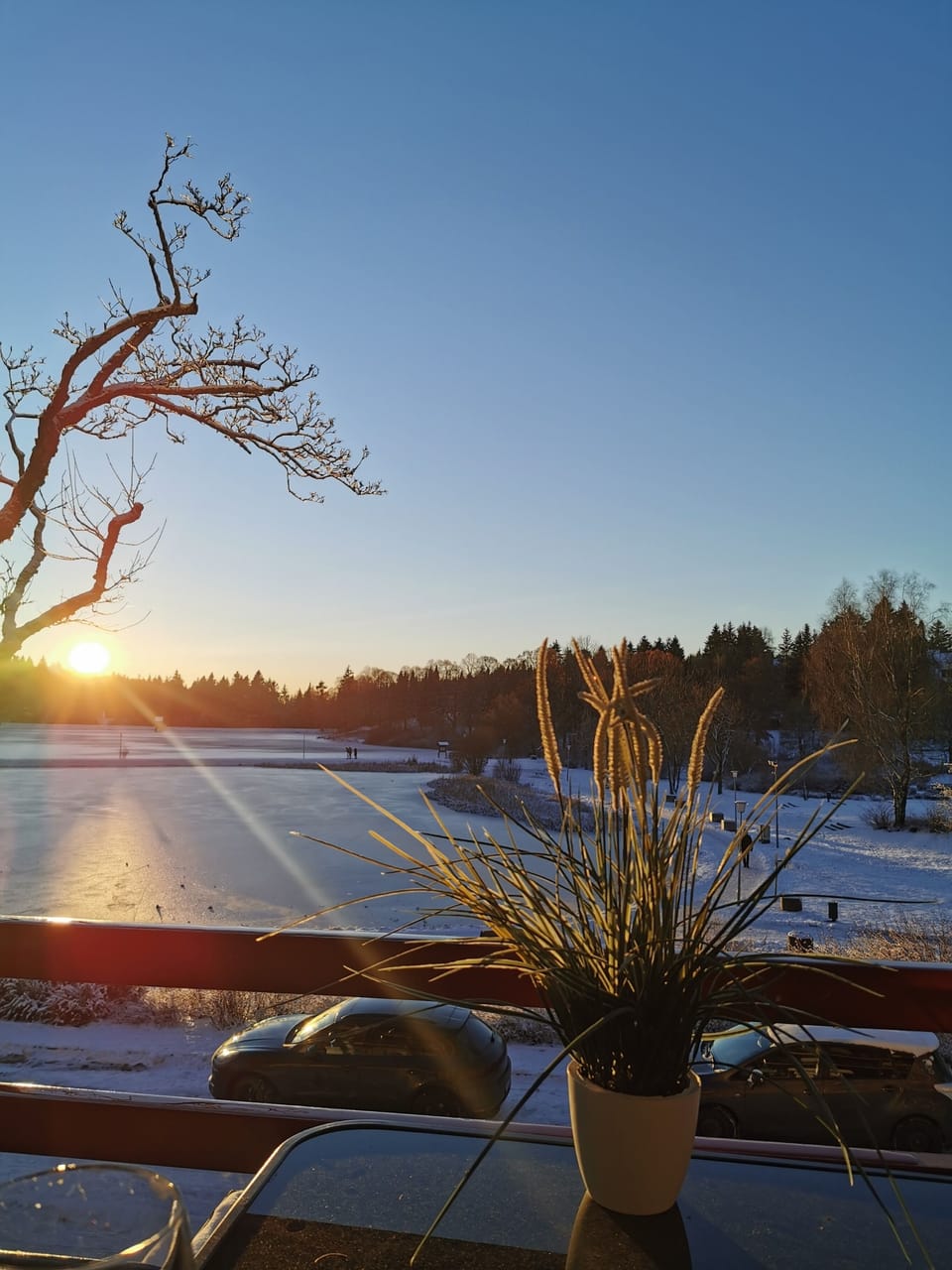 View from property