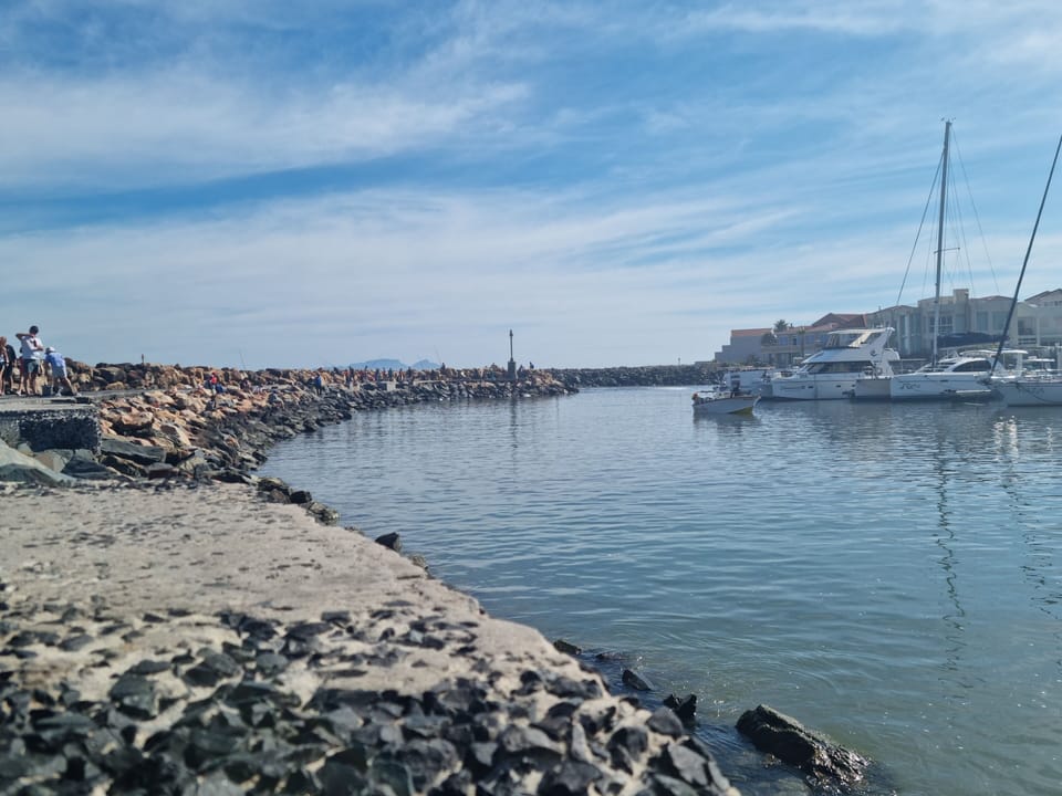 The harbour