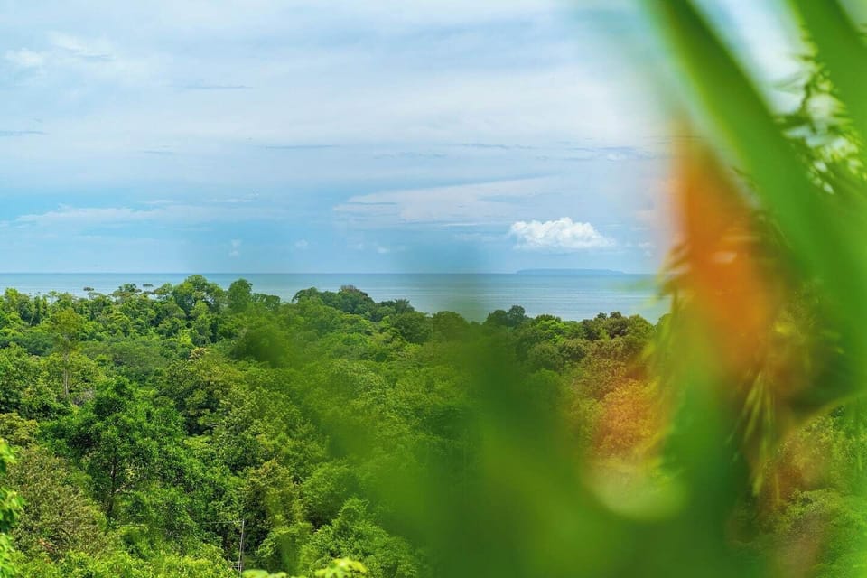 A magnificent view, perfect for gazing at the scenery and enjoying the moment.