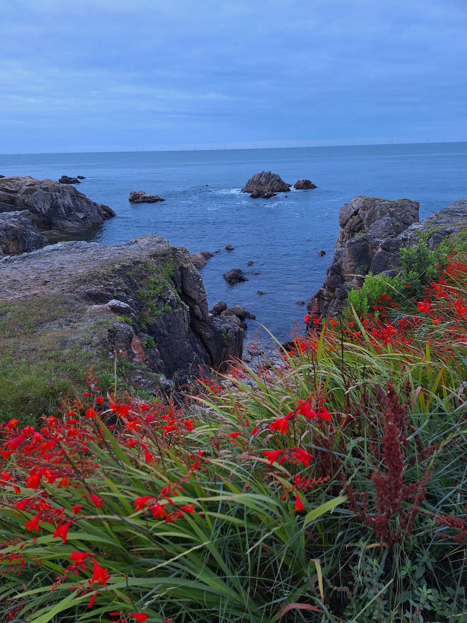 Miscellaneous