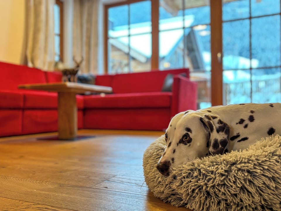You Holiday in Grossarl -Welcome to the Birnbaum Chalets Chalet in Salzburgerland