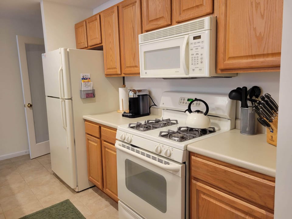 Gas stove with self clean oven