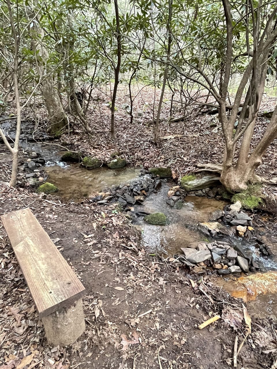 Creek behind house for tranquility. 
