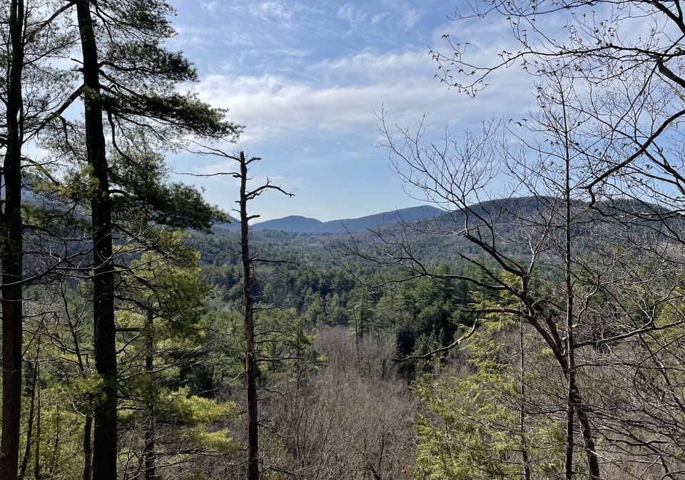 View from one of our private trails