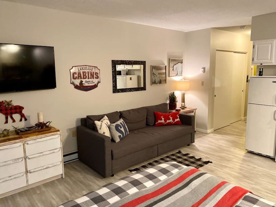 Convenient queen Sofa Bed
