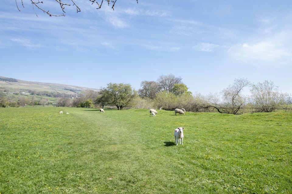 Local walks from your doorstep