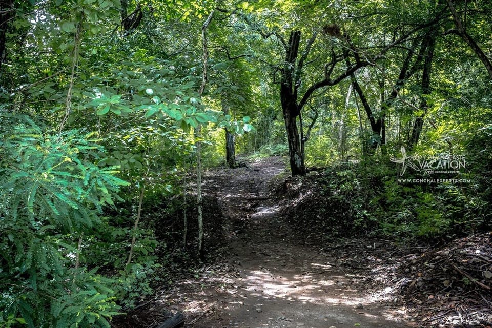 Hiking & Biking Trails