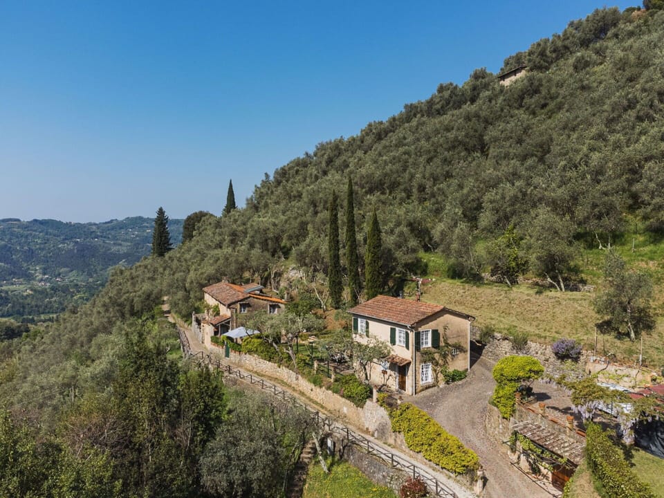 Sky, Plant, Mountain, Plant Community, Building, Tree, Natural Landscape, Highland, House, Terrain