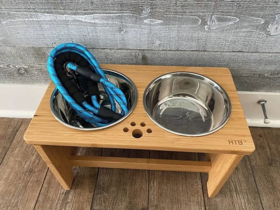 Your pups are pampered—bowls, leash & beach walks provided!