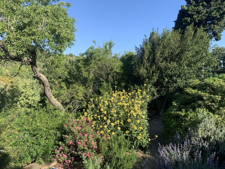 Garden view