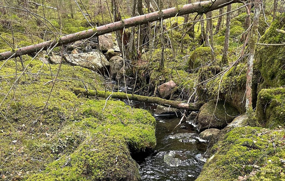 area