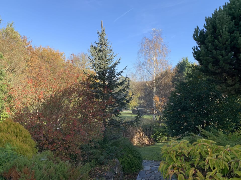 parc arboré de 1,55 hectare sur les hauteurs de Crécy-la-Chapelle (1)