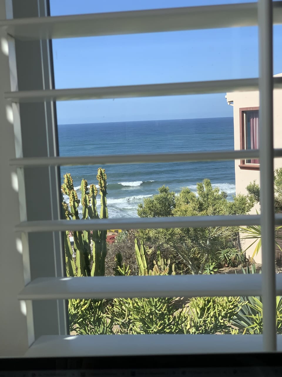 Bedroom window 